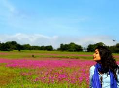 Explore Valley of Flowers at Kaas Plateau, Satara (from Mumbai) @ 1799 Only