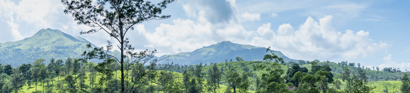 25 Places to Visit in Yercaud, Tourist Places & Attractions