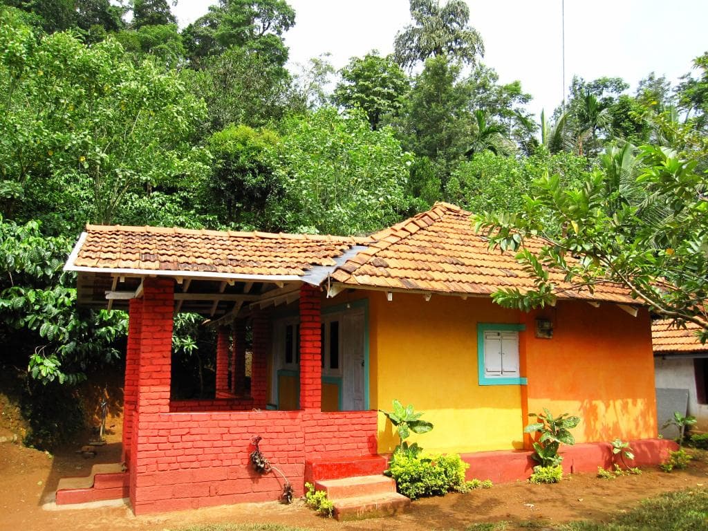 Coorg Coffee Hills