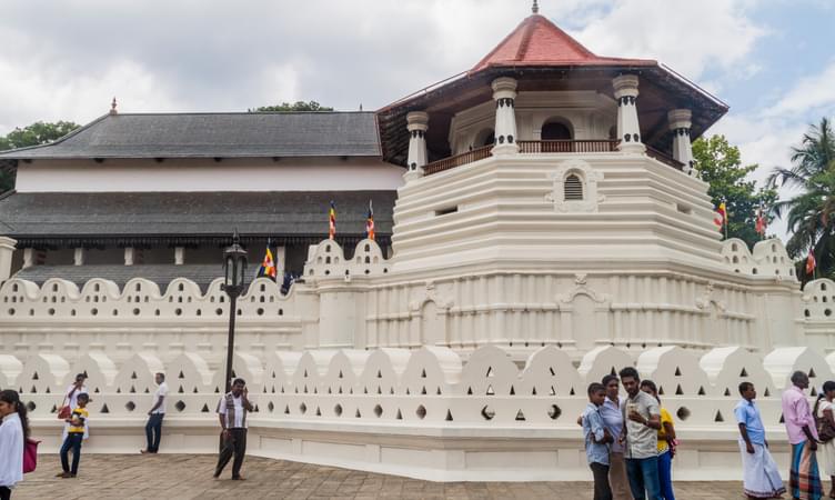 Day Tour to Pinnawala, Peradeniya and Kandy from Colombo