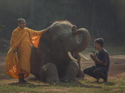 Elephant Safari Park Ubud Day Out, Bali | Get Flat 20% off