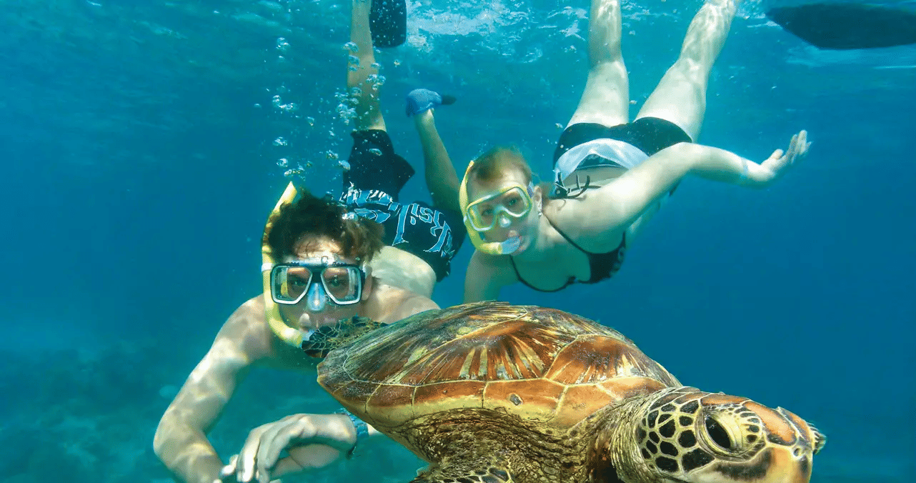 Green Island Cruise by Great Adventures, Book Now @ Flat 19% off