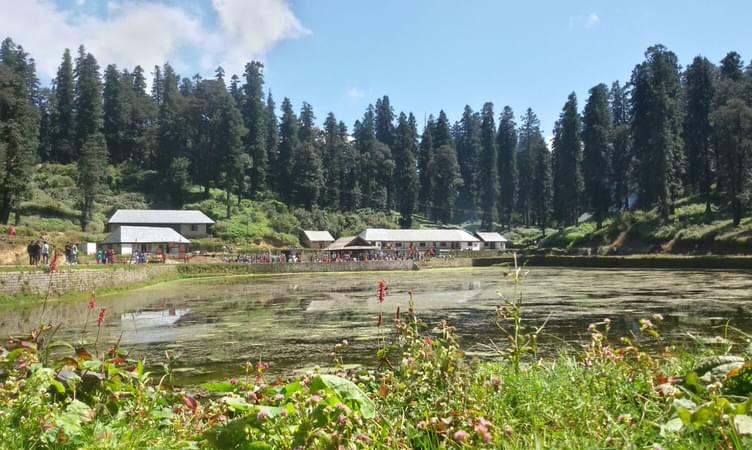 Trekking and Camping at Janjehli