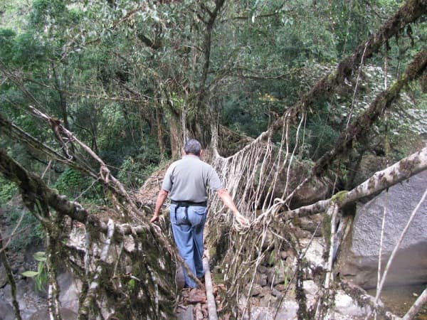 Double Decker Root Bridge Trek at Cherrapunjee in Meghalaya