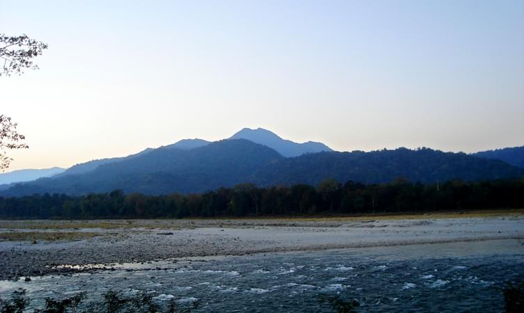 Wildlife Expedition in Assam