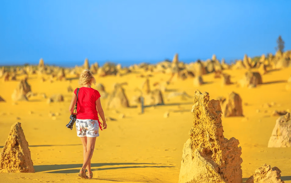 Pinnacle Desert Sunset & Stargazing Tour from Perth, Book at ₹7599