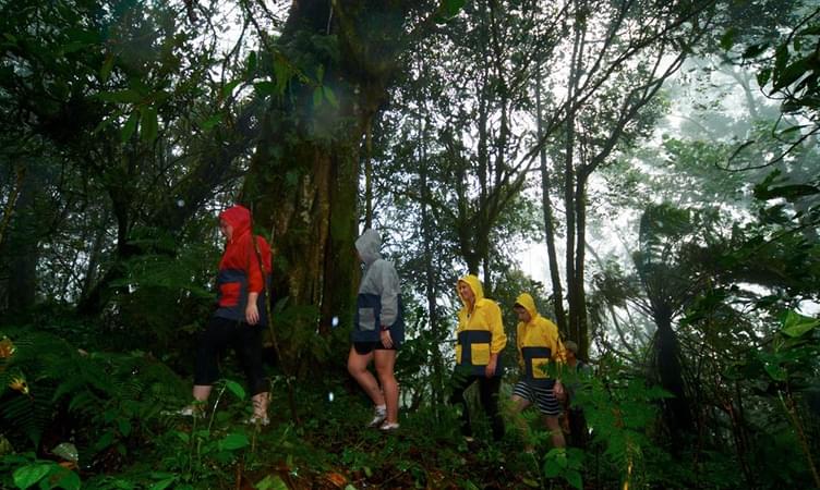 Rain Forest Trekking at Bedugul in Bali