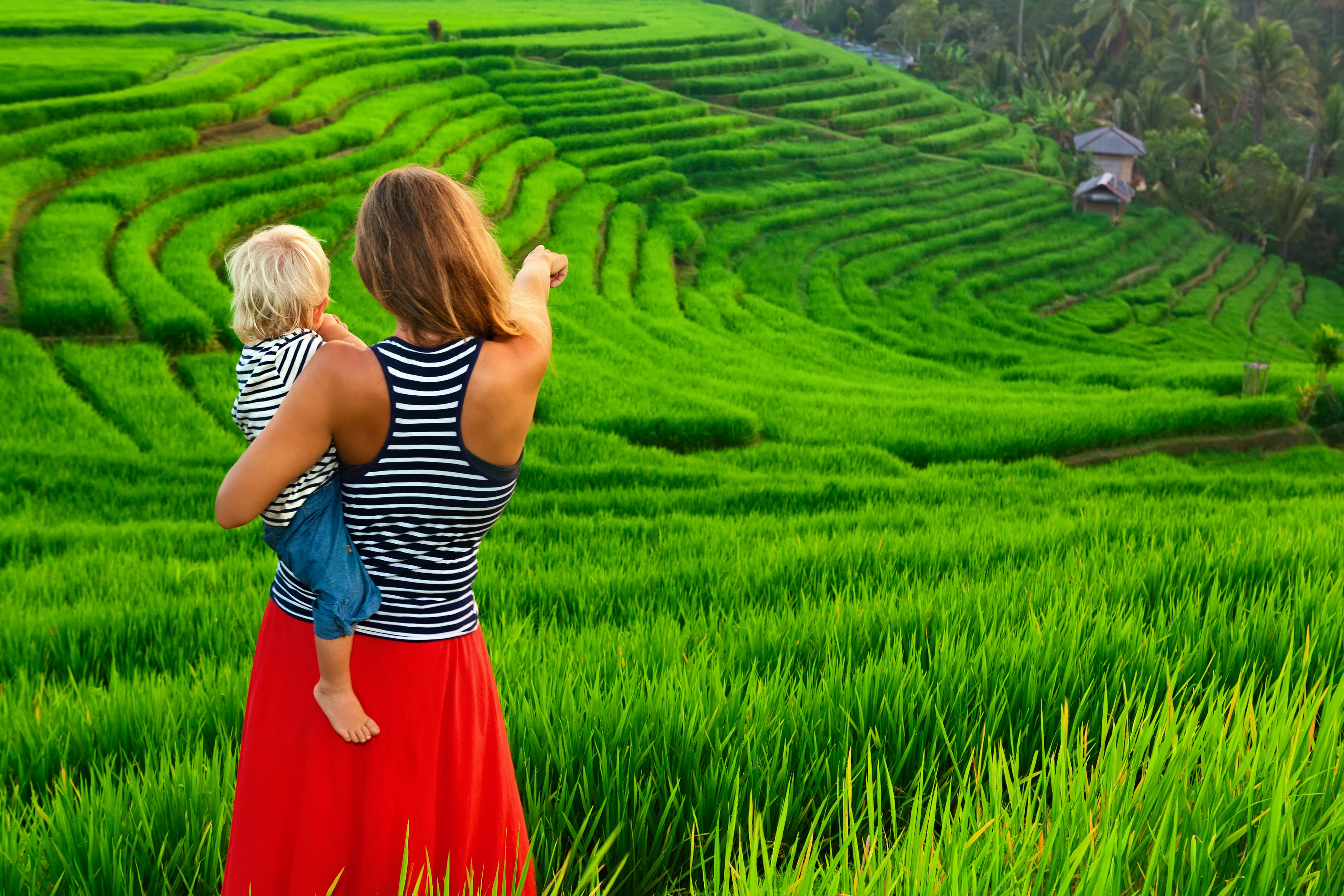 Rice Field Trekking Ubud | Book Online @ Flat 35% off