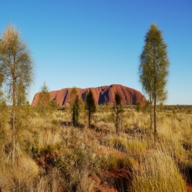 Sunrise Tour in the Red Center of Australia
