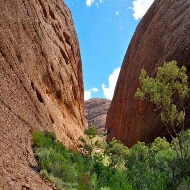 Uluru Sunrise and Sacred Sights Tour