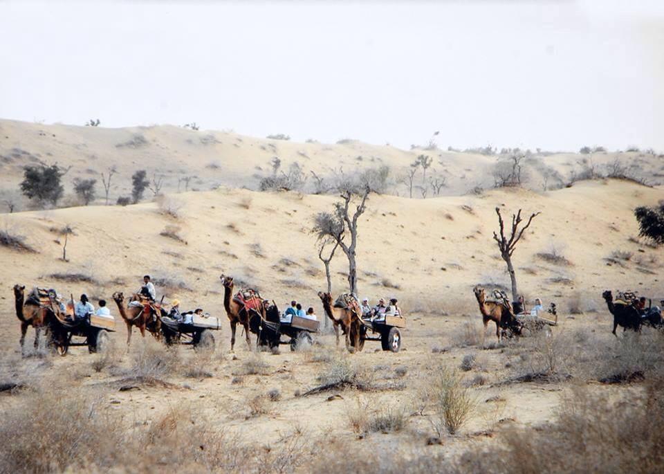 Camel Safari and Village Tour near Bikaner