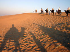 Dune Bashing and Camel Safari in Jaisalmer