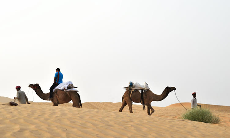 Camel Safari at Osian in Rajasthan