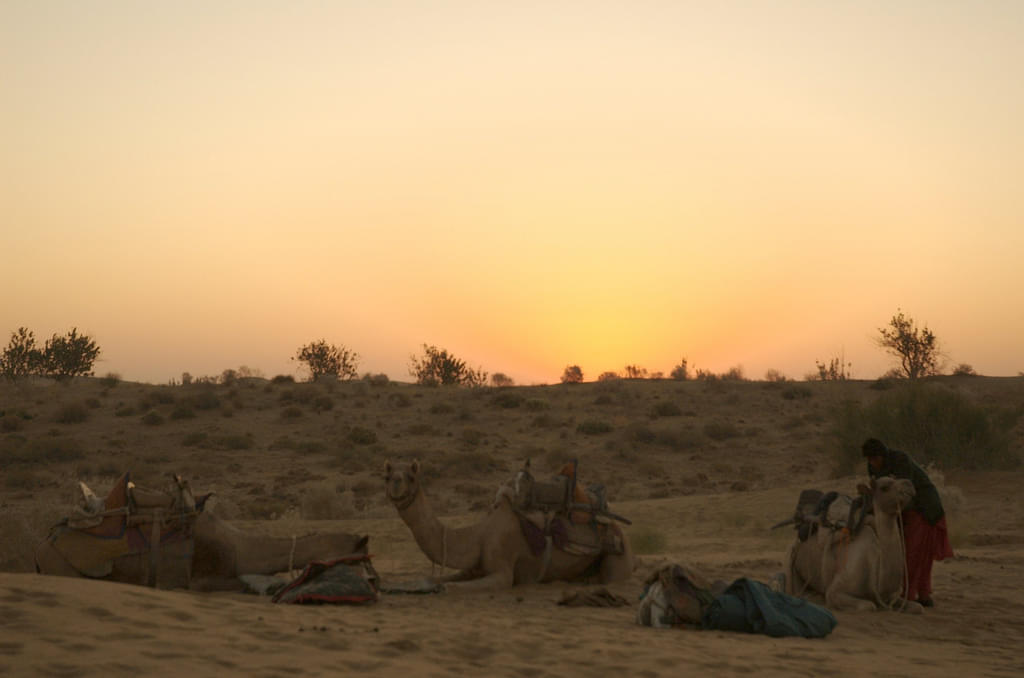 Jodhpur to Pushkar Experience