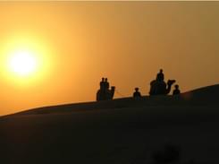 Champagne and Camel Ride in Jodhpur