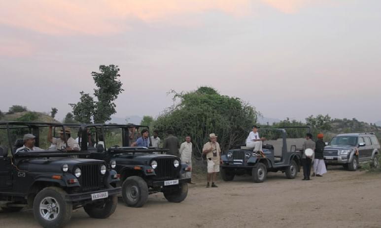 Sunset Champagne and Jeep Safari in Rajasthan