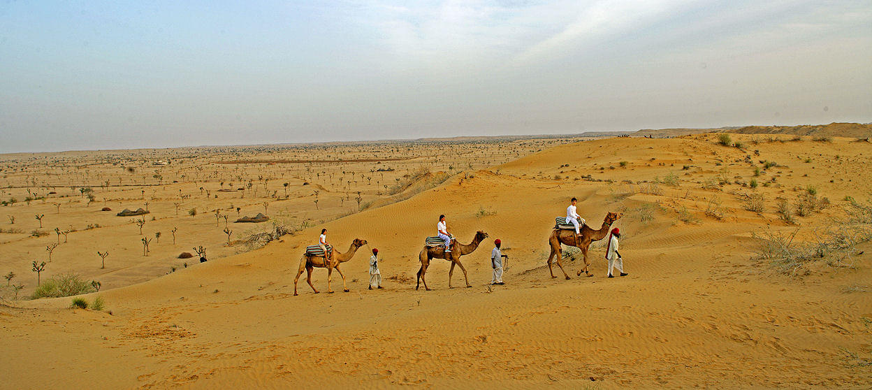 Camel Safari and Camping near Bikaner