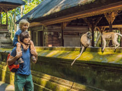 Monkey Forest and Ubud Sightseeing Tour in Bali