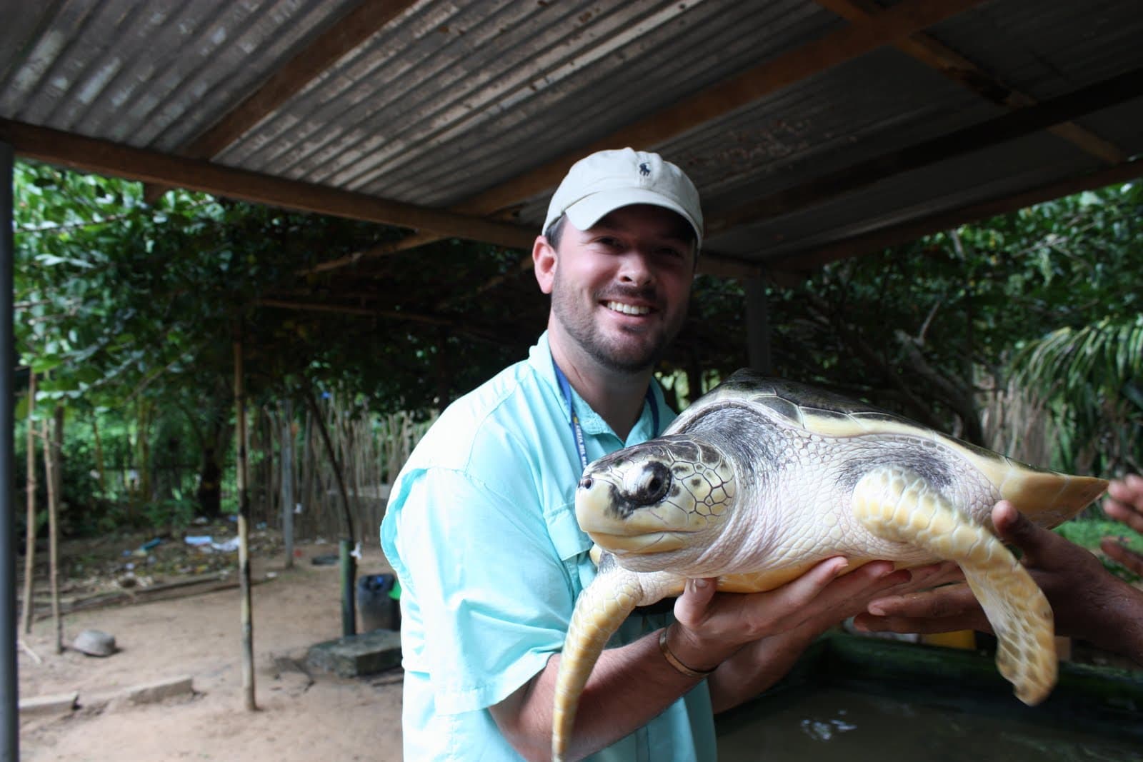 Visit a Turtle Hatchery at Bentota