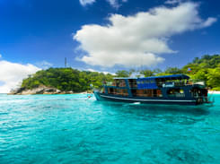 Pattaya Coral Island Tour with Speed Boat Flat 20% off
