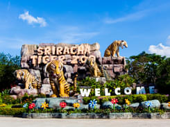 Sriracha Tiger Zoo Tickets, Book @ ₹499 & Save Flat 21%