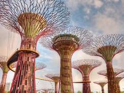 Gardens by the Bay Tickets | Save 15% & Book Online