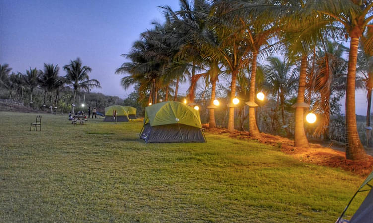 Karnala Camping | Book Online @ Flat 25% off