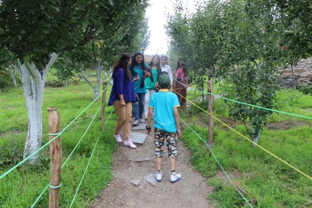 Adventurous Corporate Outing and Camping in Chail