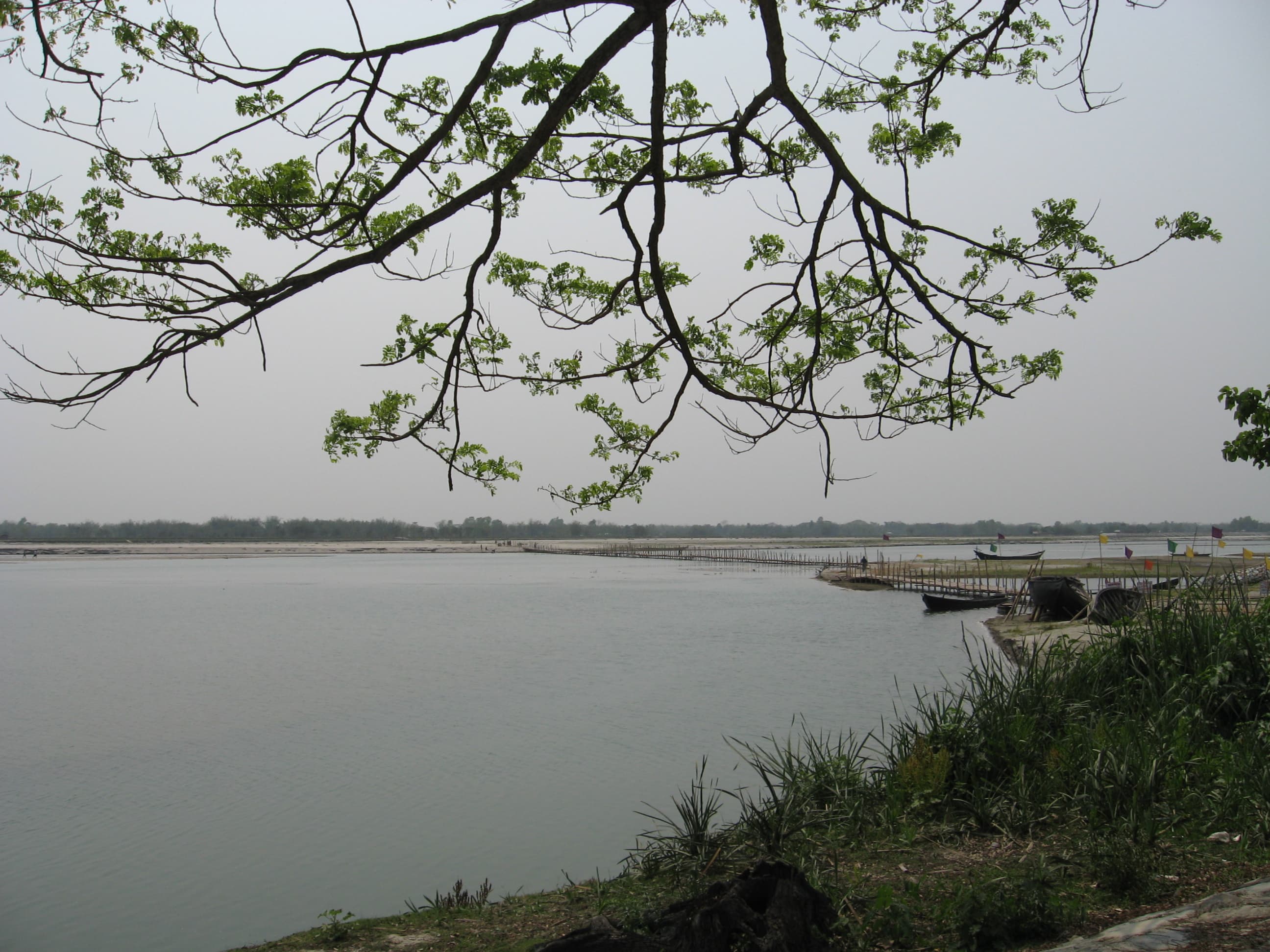 Torsa Strict Nature Reserve