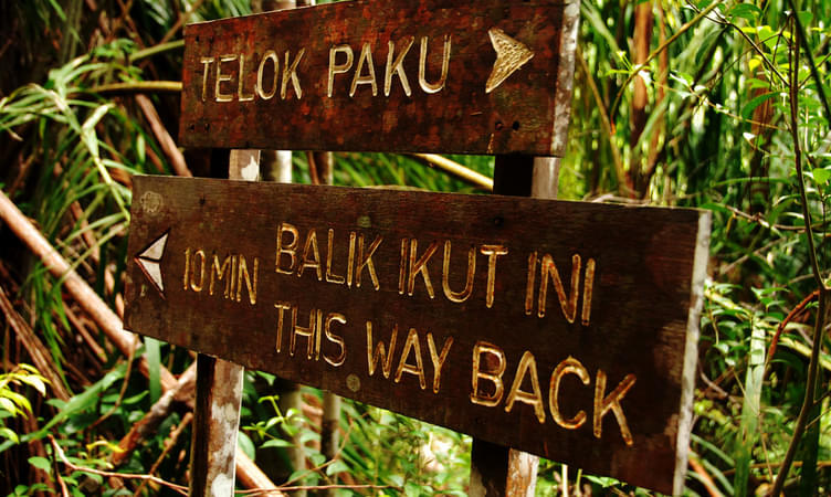 Bako National Park, Kuching