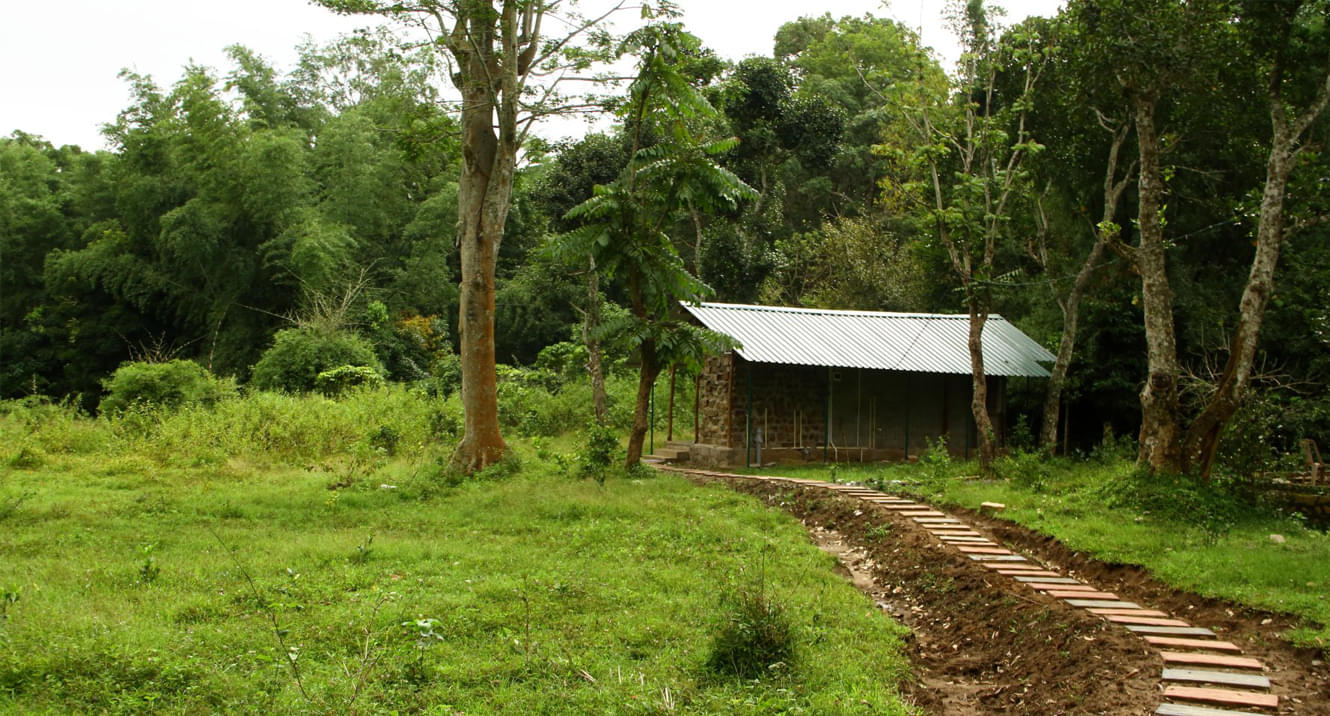 Jungle Camping in Mudumalai