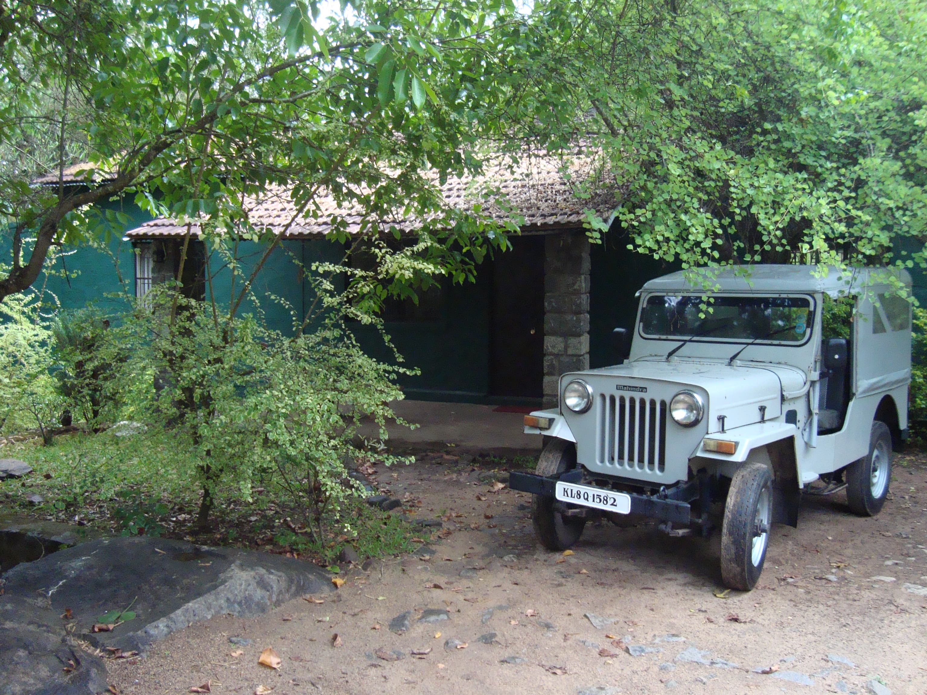 Jungle Trek and Camp in Mudumalai