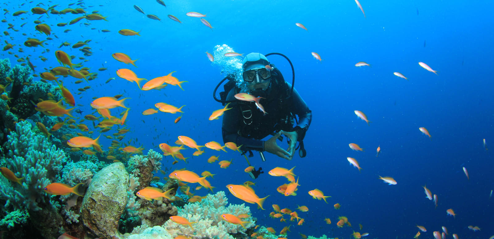 Scuba Diving In Palolem Beach, Goa Book & Save 20