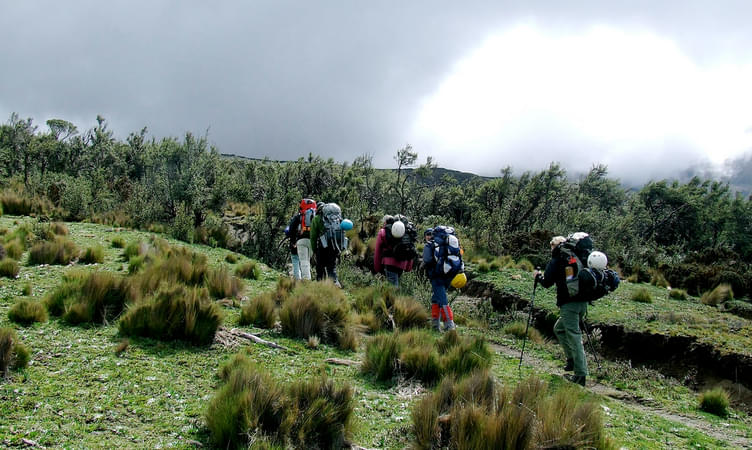 Go Trekking in Shimla