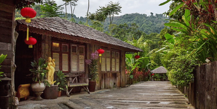 Fig Tree Hill Resort