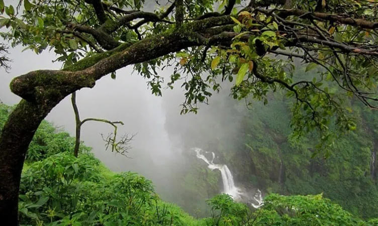 Kanakeshwar Forest