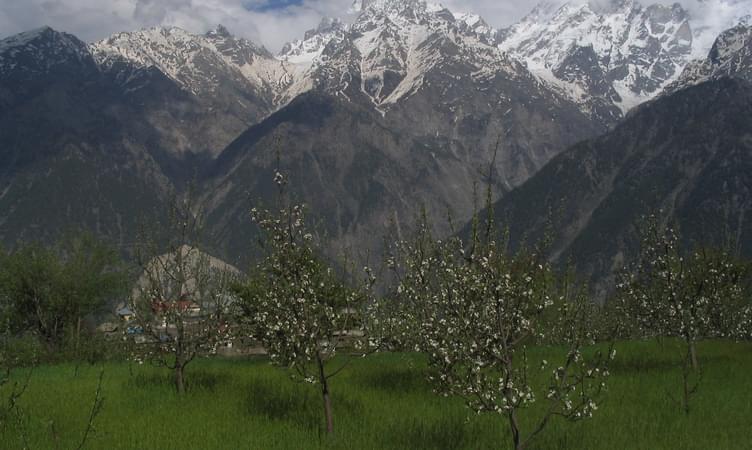 Full Day Sightseeing Tour of Mandi in a Private Vehicle