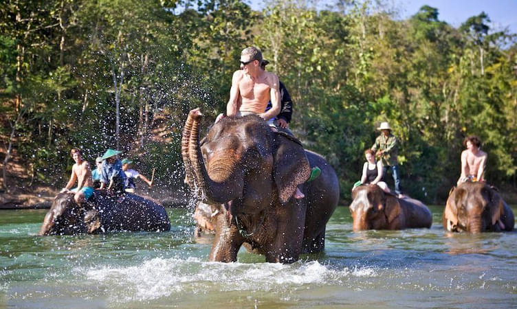 Half Day Elephant Safari in Luang Prabang