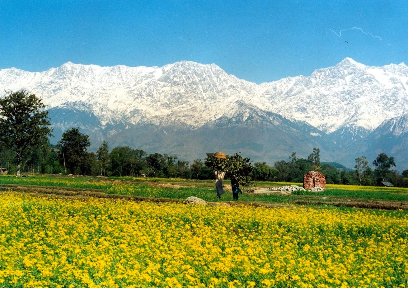 File:View from top of Kangra Fort overlooking Beas river.jpg - Wikipedia