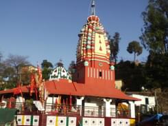 Hire a Guide at Parwanoo in Solan