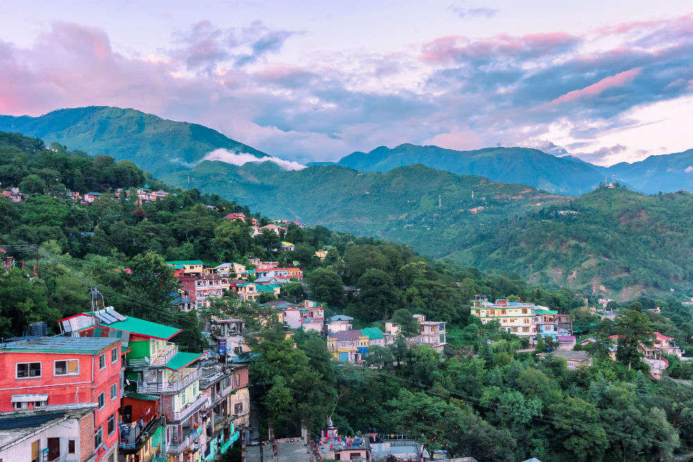 Dharamshala Mcleodganj Sightseeing Tour Book Off