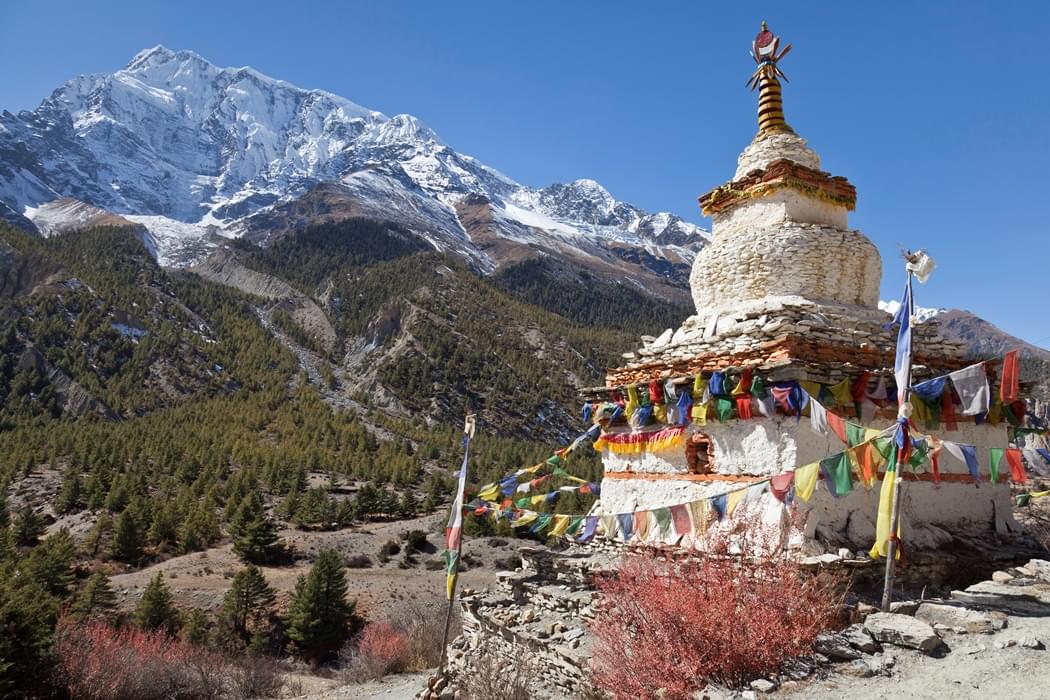 Women Only Annapurna Trek in Nepal