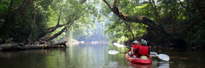 15 Best Things to do in Kuching