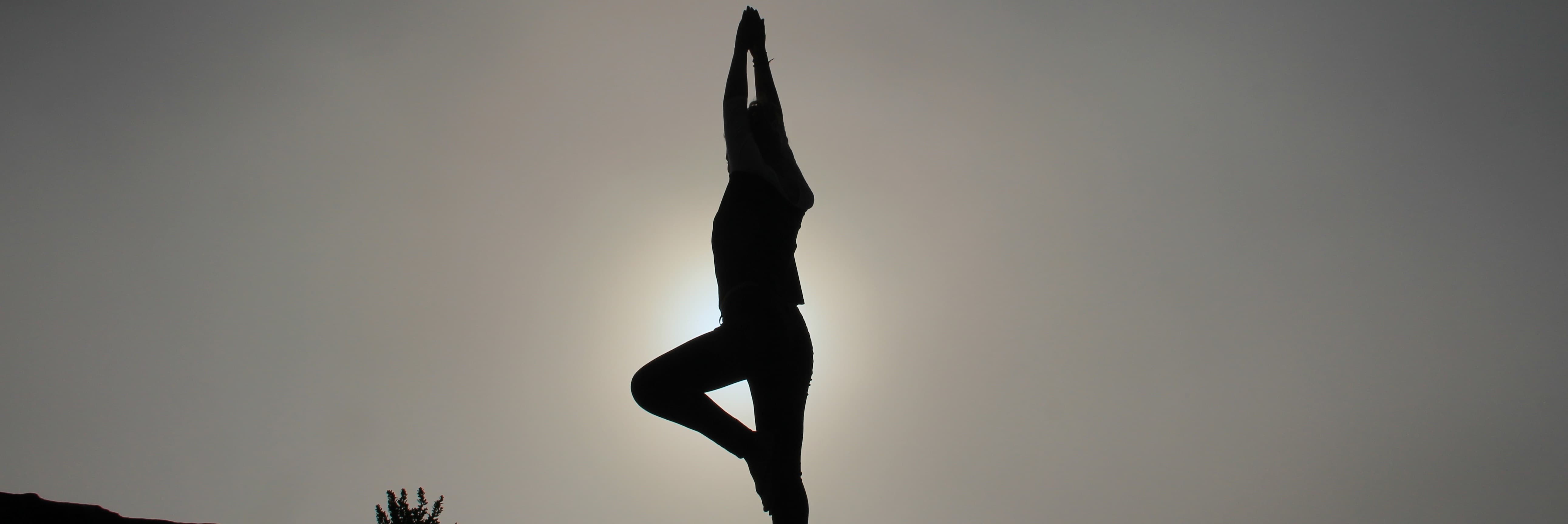 Yoga in Ubud Guide ({{year}}) - 25 Best Places to Relax Your Soul