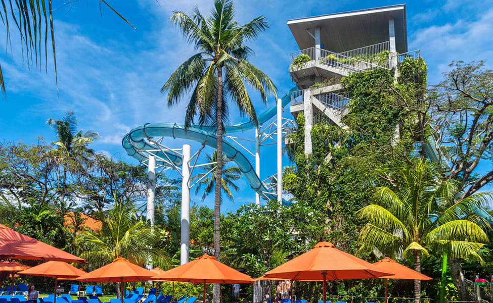 Experience Thrill at Waterbom