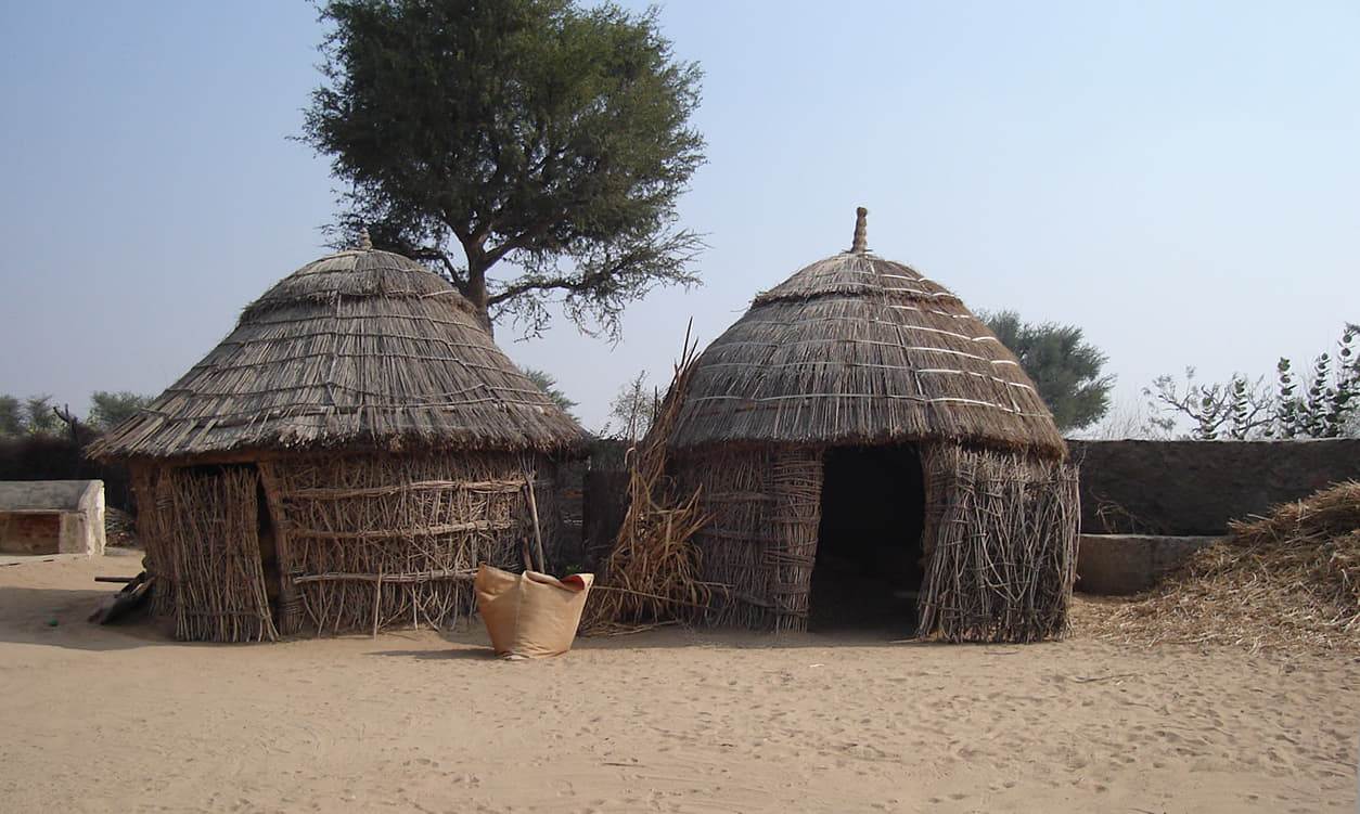 Bishnoi Village Safari