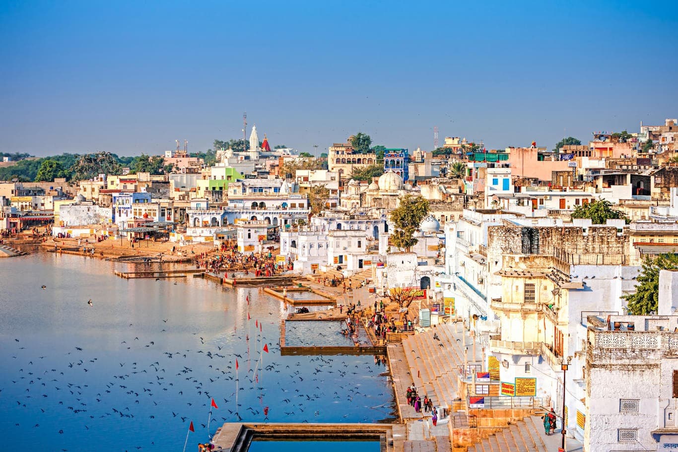 Top Attractions To Visit During Pushkar Camel Fair