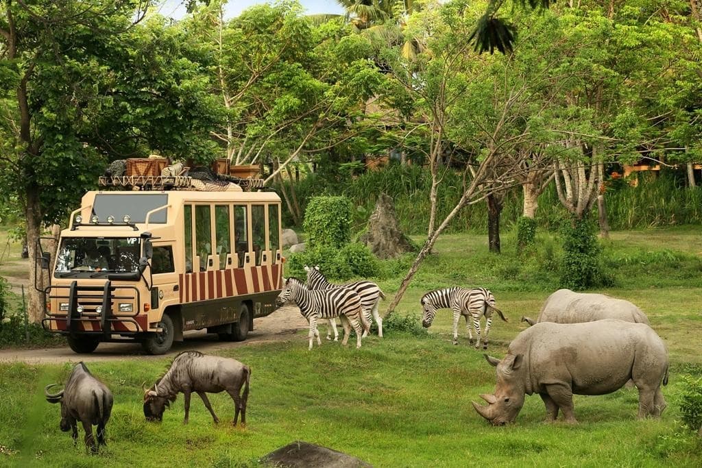 Wildlife Safari in Ubud {{year}} | Book Now & Get Upto 35% Off