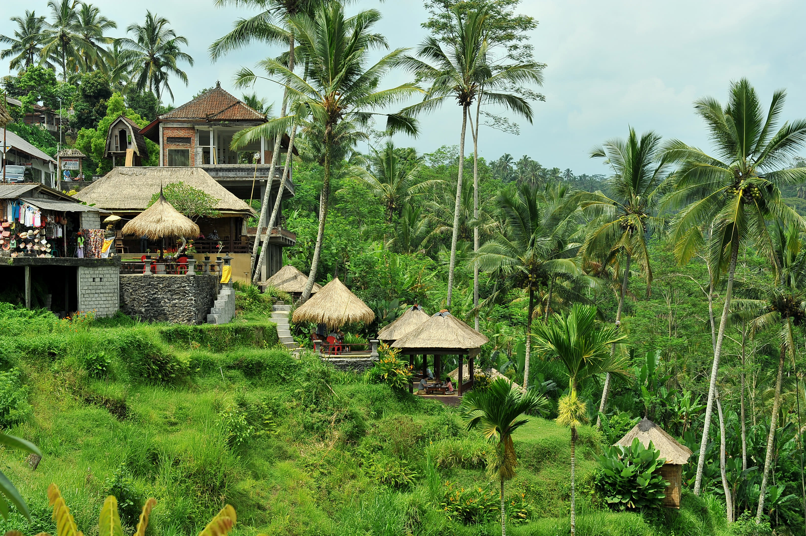 20 Best Day Tours in Ubud, Book Now @ Upto 30% Off