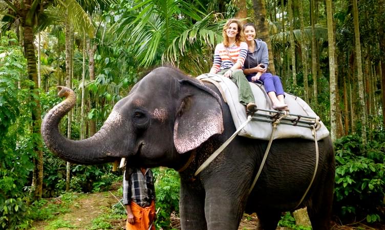 Elephant Ride in Thekkady